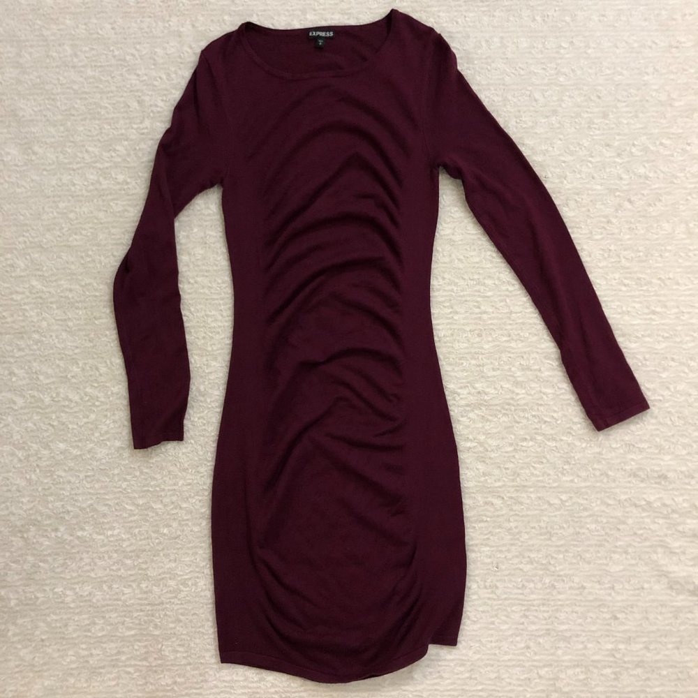 Express, Long sleeve, Ruched, Fitted Dress, Size Petit Small (S/P)